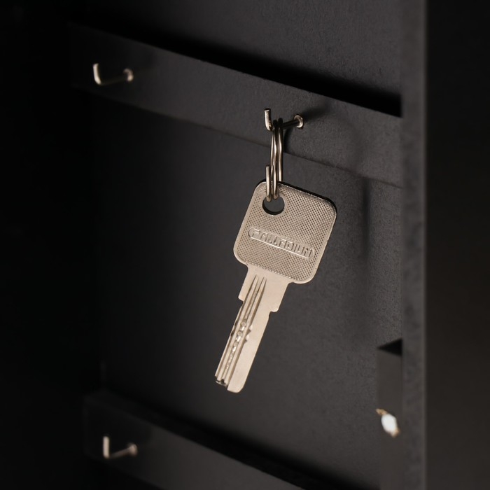 Ключница дерево Ключница дерево "Розы" чёрная, зеркальная 6х22,3х29,5 см