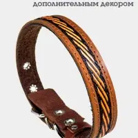Ошейник, 45&times;2 см, с подкладом и декоративной лентой, кожа, коричневый