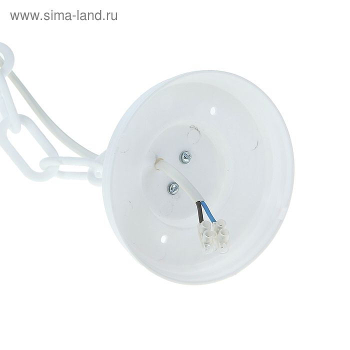 Светильник TDM, садово-парковый, НСУ 04-60-001, подвесной, белый Светильник TDM, садово-парковый, НСУ 04-60-001, подвесной, белый