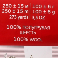 Пряжа для вязания спицами, крючком «Пехорский текстиль. Деревенская», 100% шерсть, 250 м/100 г, (125 камелия)