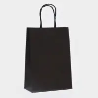 Пакет крафт «Радуга», чёрный, 18×8×25 см, 80 г/м², 1 шт.