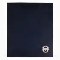 Пакет подарочный ламинированный, упаковка, &laquo;Ты лучший&raquo;, ML 23&times;27&times;11.5 см, цвет МИКС