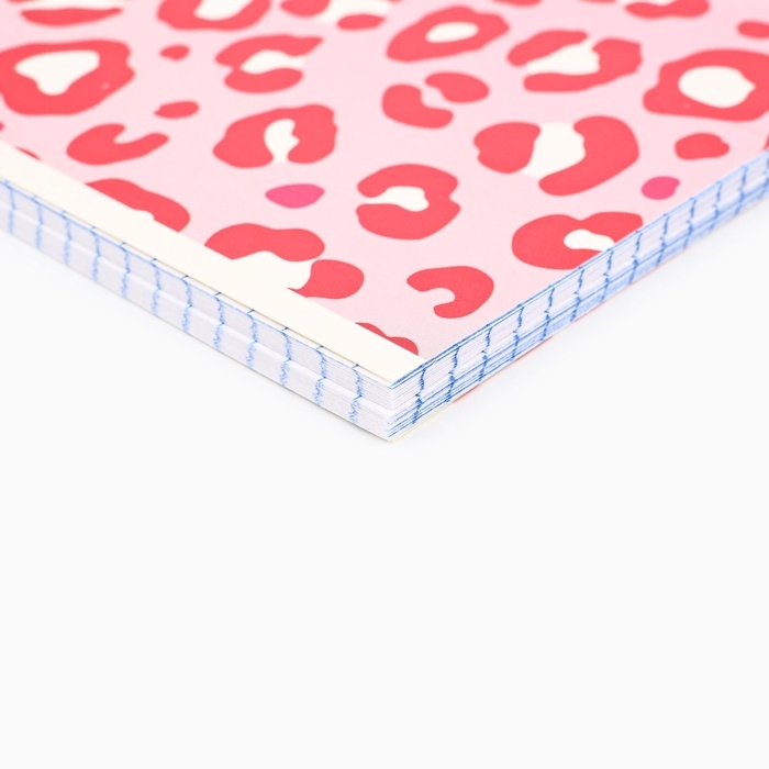 Тетрадь А5, 48 л на спирали,  внутренний блок №1 МИКС «Pink»