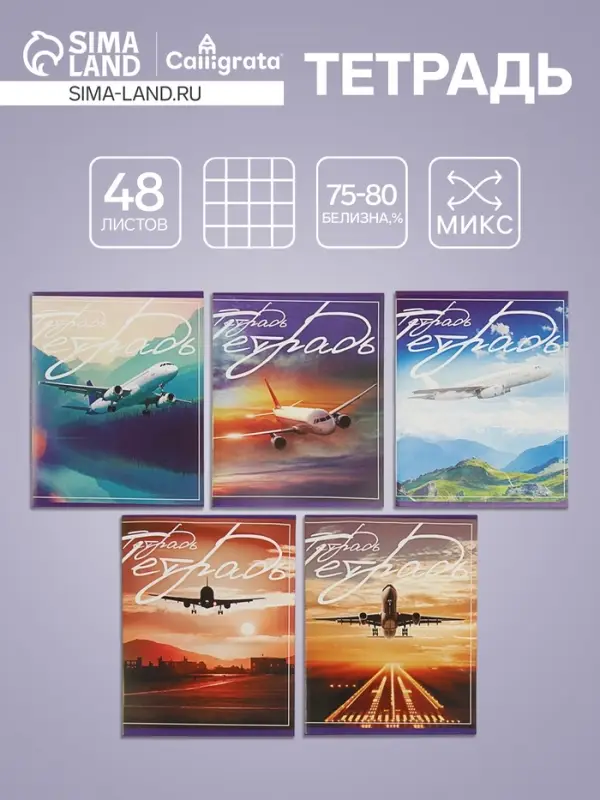 Тетрадь 48 листов в клетку Calligrata «Самолеты», обложка мелованный картон, блок №2, белизна 75% (серые листы), МИКС