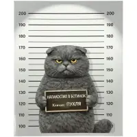 Тетрадь 5 штук, 48 листов в клетку Calligrata &laquo;Коты хулиганы&raquo;, серые листы, блок №2, 5 видов