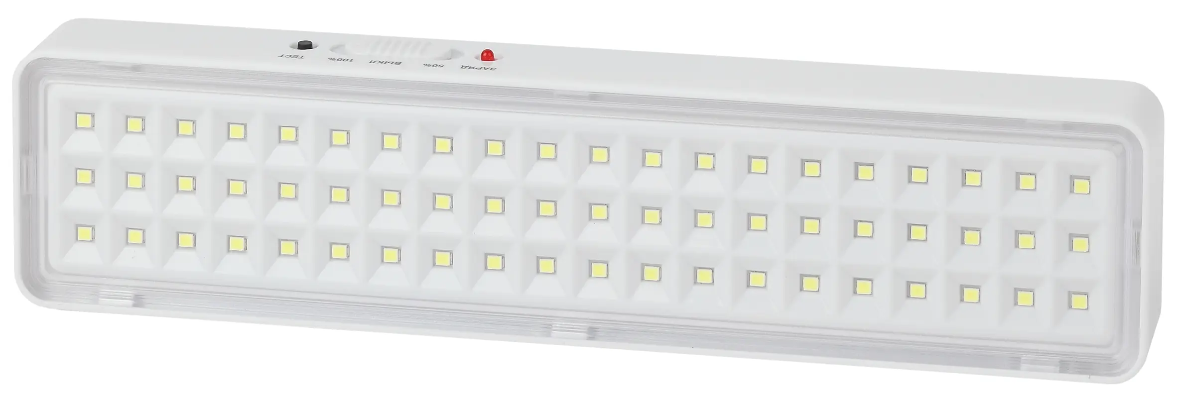 Светильник светодиодный аварийный непостоянный DBA-103-0-20 60LED 5ч IP20 40/1600