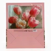 Пакет подарочный &laquo;Для тебя. Цветы&raquo;, 23&times;27&times;11.5 см