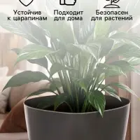 Горшок для цветов &laquo;Элеганс&raquo;, 3 л, d=19.3 см, h=16.7 см, пластиковый, с прикорневым поливом, серый