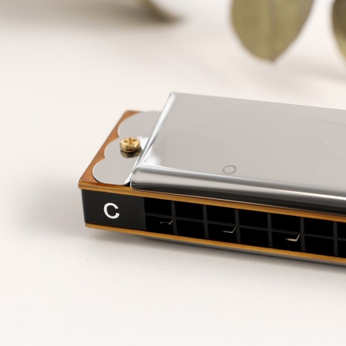 Губная гармошка Music Life T2401 тремоло, с футляром Губная гармошка Music Life T2401 тремоло, с футляром