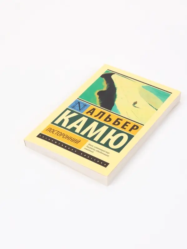 Книга &laquo;Посторонний&raquo;, Альбер Камю