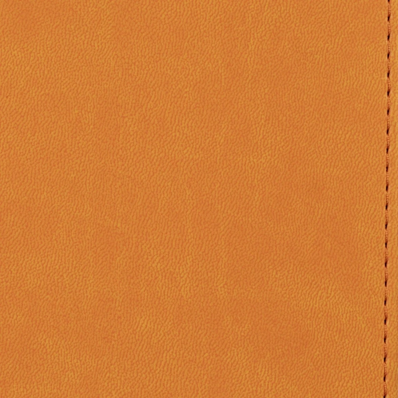 Ежедневник недатированный оранжевый,А5,143х210мм,176л,ATTACHE Сиам