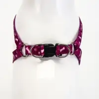 Шлейка с поводком &laquo;Классика&raquo;, ОГ 28-47 см, поводок 120&times;1 см, фиолетовая