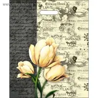 Пакет "Мемуары", полиэтиленовый, с вырубной ручкой, 38 х 47 см, 60 мкм Пакет "Мемуары", полиэтиленовый, с вырубной ручкой, 38 х 47 см, 60 мкм