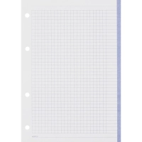 Сменный блок для тетрадей на кольцах, BeSmart А5 120л клетка Цветной N001d