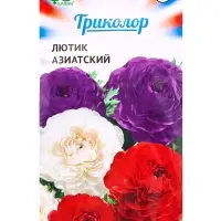 Семена цветов Лютик азиатский (Ранункулюс) &laquo;Триколор&raquo; смесь, 9 шт.