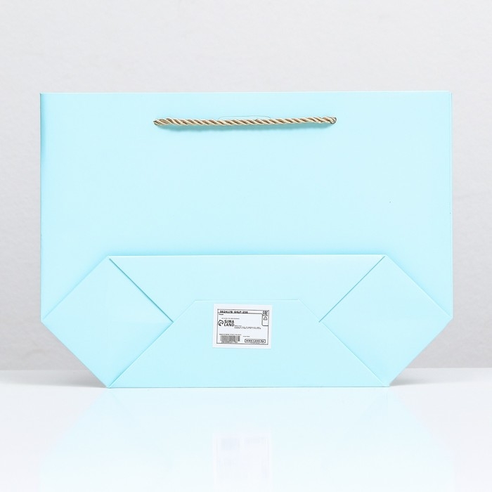 Пакет подарочный с лентой 19 х 20 х 9 см Пакет подарочный с лентой 19 х 20 х 9 см "Голубой"