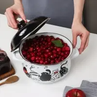 VETTA Хвостатые друзья Кастрюля эмалированная, 22см, 3,6л, индукция