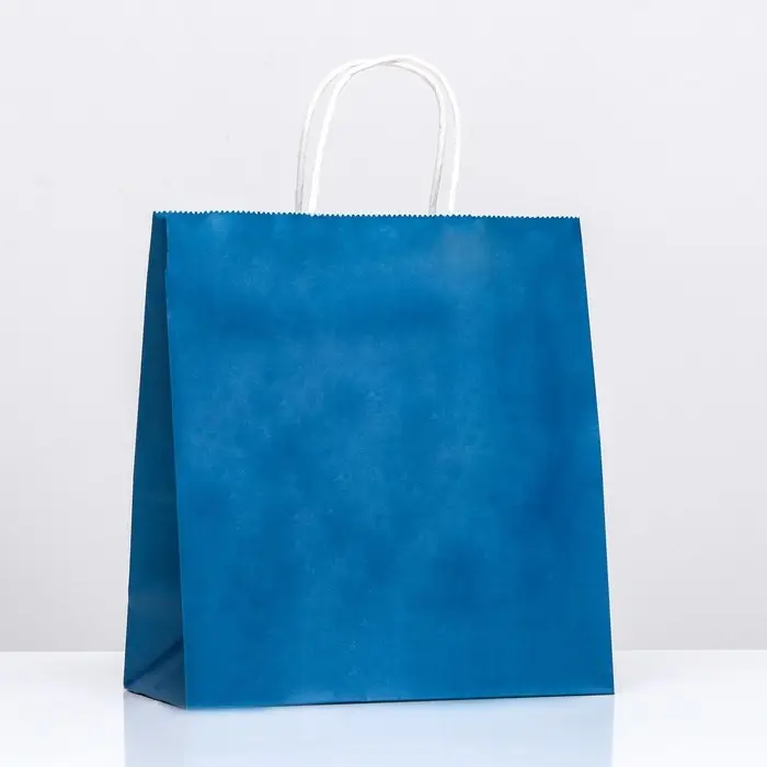 Пакет крафт «Радуга», васильковый, 25×12×27 см, 80 г/м², 1 шт. Пакет крафт «Радуга», васильковый, 25×12×27 см, 80 г/м², 1 шт.