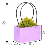 Сумка для цветов &laquo;Лиловая&raquo;, влагостойкая, 22&times;10.5&times;13.5 см