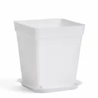 Горшок цветочный с поддоном, 7&times;7&times;7.5 см, 200 мл, пластиковый, МИКС