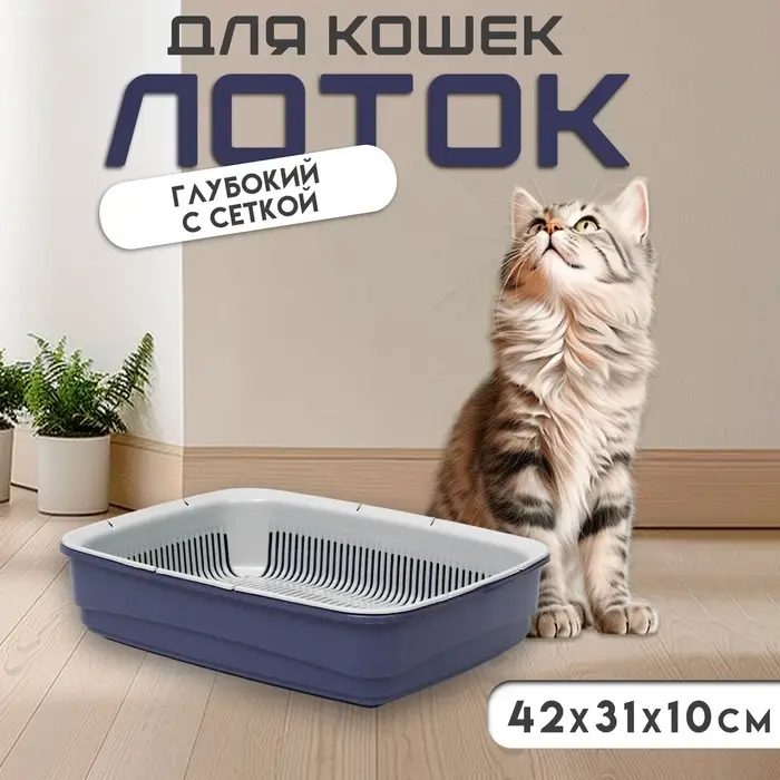 Лоток большой с сеткой Atlantis &laquo;Стандарт&raquo;, 42&times;31&times;10 см, фиолетовый