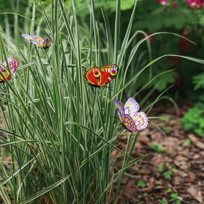 Штекер &laquo;Бабочка Атрис&raquo;, 7&times;7 см/30 см, набор 30 шт., МИКС, Greengo