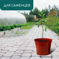 Горшок для рассады, 5 л, d=22 см, h=18 см, пластик, терракот, Greengo