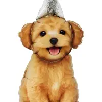 Воздушный шар фольгированный 17" &laquo;Пёсик в колпачке&raquo;, набор 5 шт.