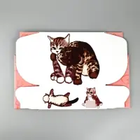 Коробка-шкатулка, подарочная &laquo;Котики&raquo;, 27&times;21&times;9 см