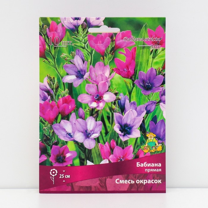 Бабиана прямая Смесь окрасок, луковица, 10 шт., р-р 5+ Бабиана прямая Смесь окрасок, луковица, 10 шт., р-р 5+
