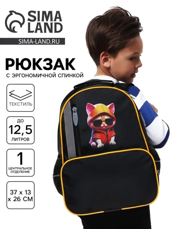 Рюкзак школьный, эргономичная спинка, 37&times;26&times;13 см &laquo;Крутой кот&raquo;