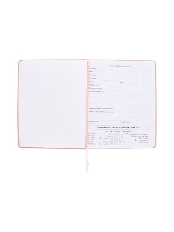 Дневник школьный 1-11 класс, deVENTE. Karma, искусственная кожа, шелкография