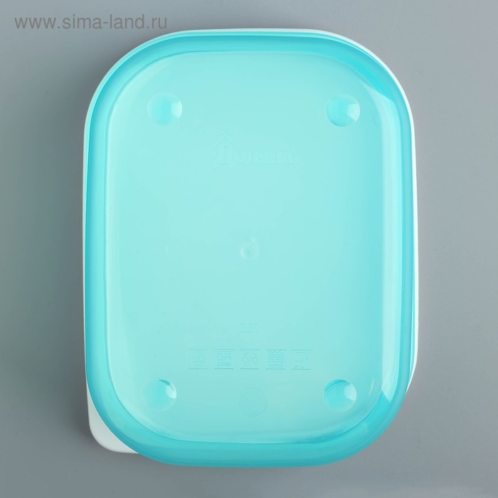 Ланч-бокс «Meow», 500 мл Ланч-бокс «Meow», 500 мл