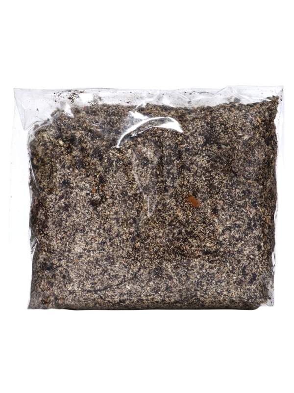 Лилия Азиатская Кашпо "Cascavel", р-р 12/14, 2 шт, Весна 2025, ЭКОНОМ,