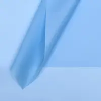 Пленка для цветов, матовая, 57 х 57 см, 55 мкм Пленка для цветов, матовая, 57 х 57 см, 55 мкм