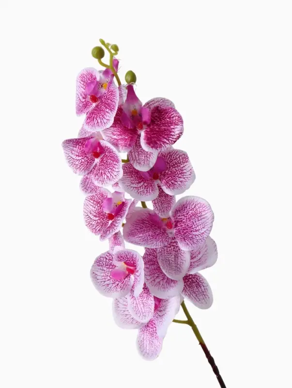 Цветы искусственные &laquo;Орхидея Тигровая&raquo;, h=90 см, бело-сиреневые