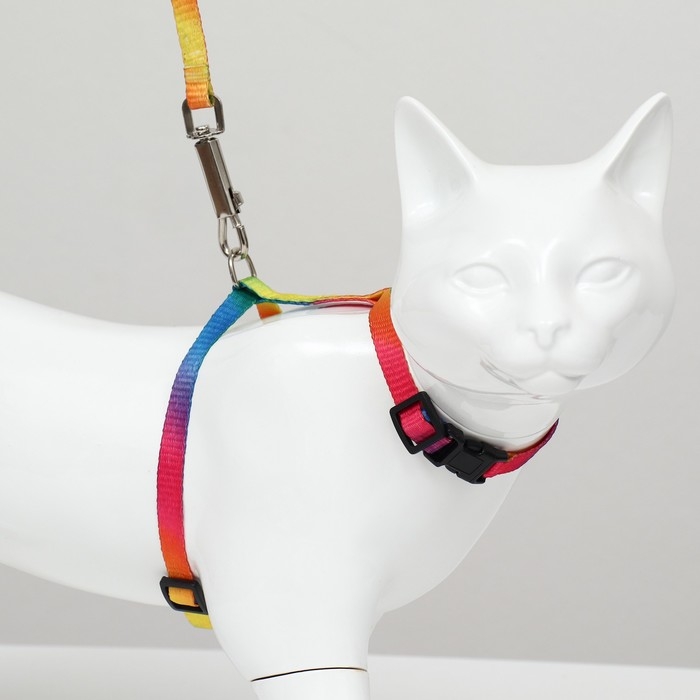 Комплект для кошек  Комплект для кошек "Радуга", ширина 1 см, ОШ 16,5-27, ОГ 21-35 см, поводок 120 см
