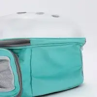 Рюкзак для переноски животных, 31&times;28&times;42 см, прозрачный, бирюзовый