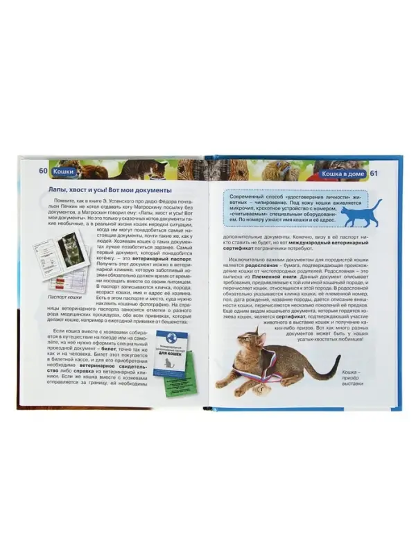 Детская энциклопедия &laquo;Кошки&raquo;