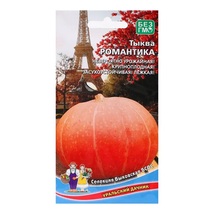 Семена Тыква Семена Тыква "Романтика - крупноплодная", 6 шт