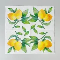 Салфетки бумажные однослойные &laquo;Лимон&raquo;, 24&times;24, 40 шт.