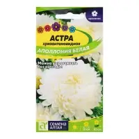 Семена Астра "Аполлония Белая", ц/п,  0,2 гр.