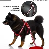 Шлейка с поводком &laquo;Спорт&raquo;, ОГ 23-35 с, ширина 1 см, поводок 120 см, светоотражающий, красная