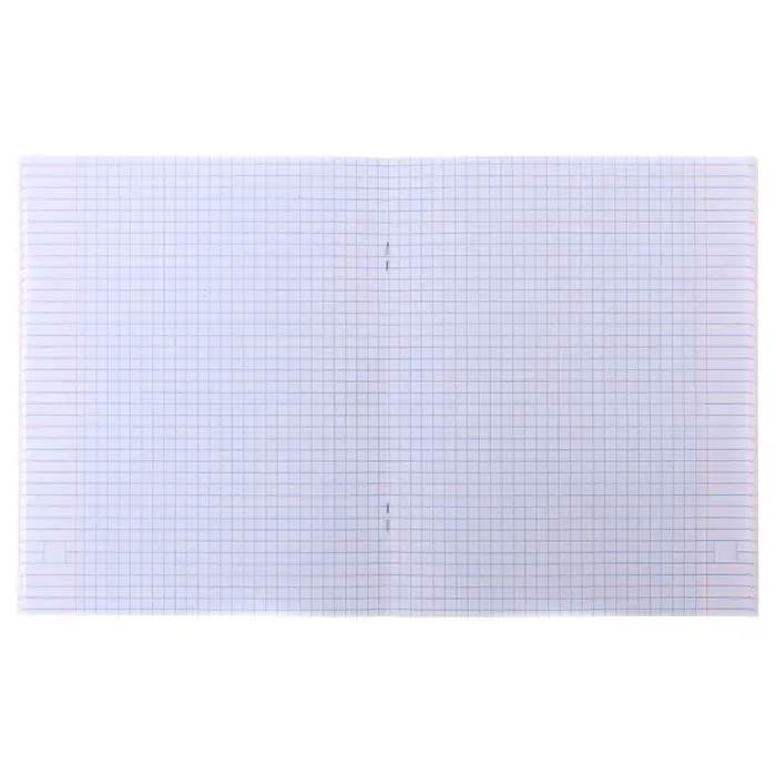 Тетрадь 48 листов в клетку Calligrata «Мопс», обложка мелованный картон, блок офсет, МИКС Тетрадь 48 листов в клетку Calligrata «Мопс», обложка мелованный картон, блок офсет, МИКС