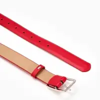 Ремень женский Classic, 110&times;3 см, пряжка металл, серебристая, красный