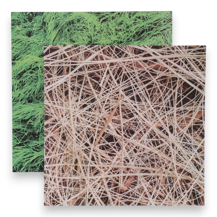 Фотофон двусторонний картон плотность 350 гр Фотофон двусторонний картон плотность 350 гр "Сено и трава" 50х50 см