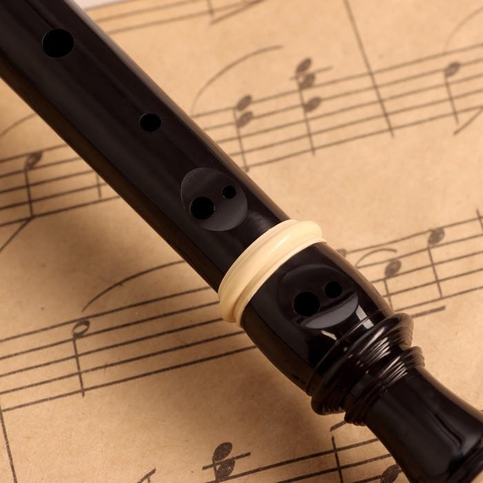 Блокфлейта Music Life, 8 отверстий, черный чехол, шомпол, 30 см Блокфлейта Music Life, 8 отверстий, черный чехол, шомпол, 30 см
