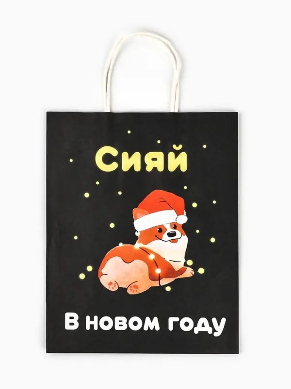 Пакет бумажный подарочный новогодний крафт &laquo;Сияй&raquo;, 27&times;21&times;11 см