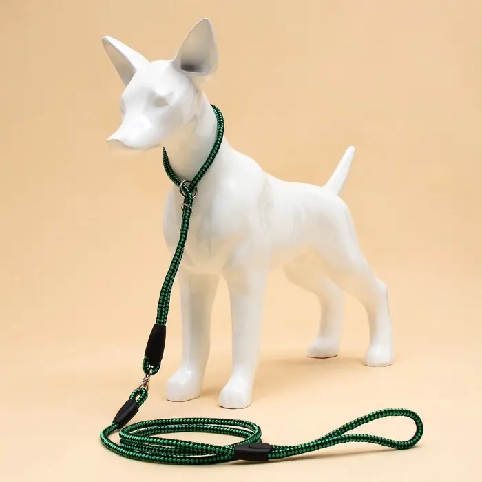 Ринговка для собак, 150&times;0.6 см, с вертлюгом, чёрная, зелёная