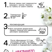Семена цветов Петуния &laquo;Мамбо&raquo;, F1, белая многоцветковая, 7 шт., однолетник, &laquo;Аэлита&raquo;